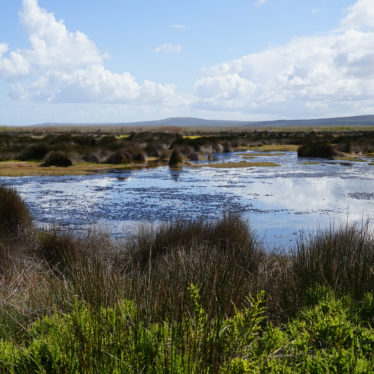 📷Langebaan & le West Coast National Park