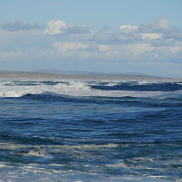 Langebaan & le West Coast National Park