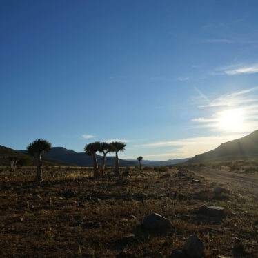 📷Cederberg, retour à l’époque petite maison dans la prairie