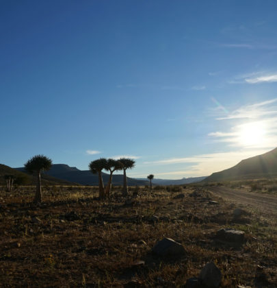 📷Cederberg, retour à l’époque petite maison dans la prairie