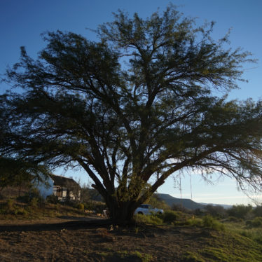 Cederberg : retour à l’époque petite maison dans la prairie .