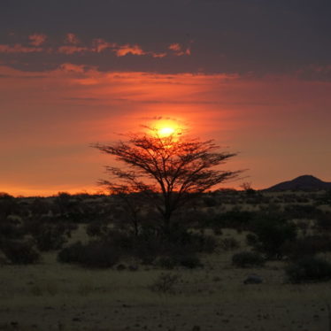 🎥Namibie: roadtrip entre dunes et lions.