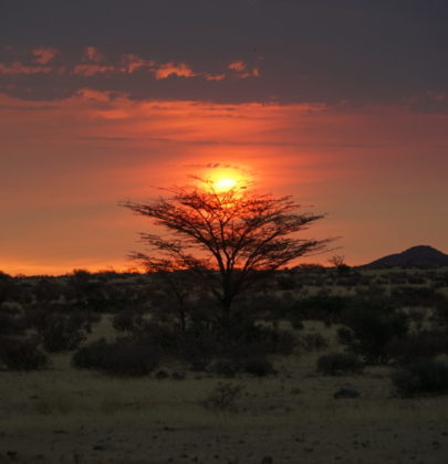 🎥Namibie: roadtrip entre dunes et lions.