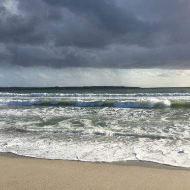 🎵Le son de l’Océan à Langebaan