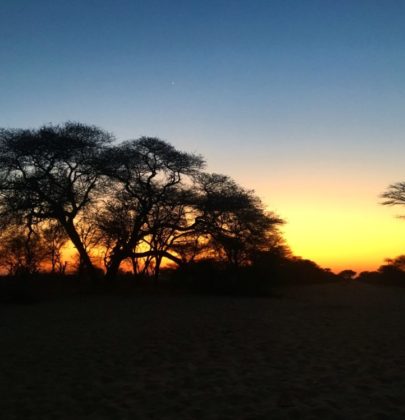 Bybye Etosha, welcome Grootfontein pour une pause … bestiale !