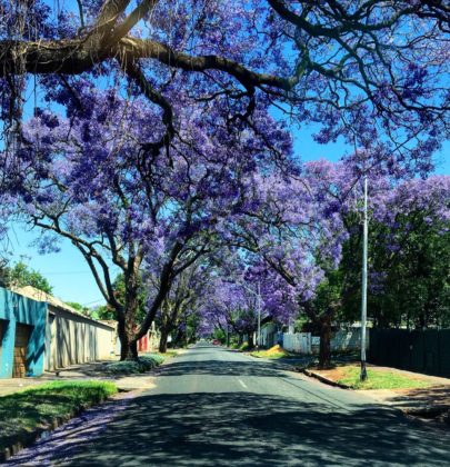 Johannesburg en famille, une journée à Sandton, Rosebank et Melville.