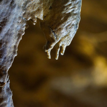 🎵Les sons d’Asie : méditation dans les grottes de Phong Nha.