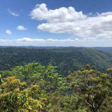 📷Rando au Lamington National Park.