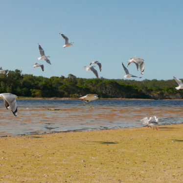 📷Mallacoota, escale bleue entre Melbourne et Sydney.