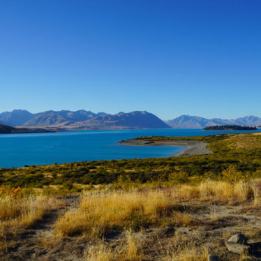 📷 Escale au lac Tekapo.