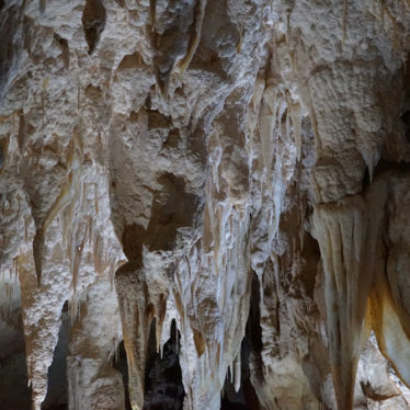 Mystères Maoris et vers luisants dans les grottes de Waitomo.