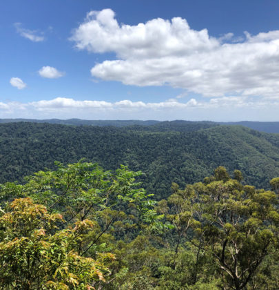 📷Rando au Lamington National Park.