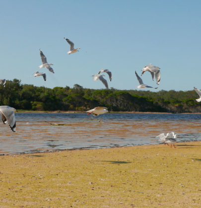 📷Mallacoota, escale bleue entre Melbourne et Sydney.