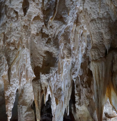 Mystères Maoris et vers luisants dans les grottes de Waitomo.